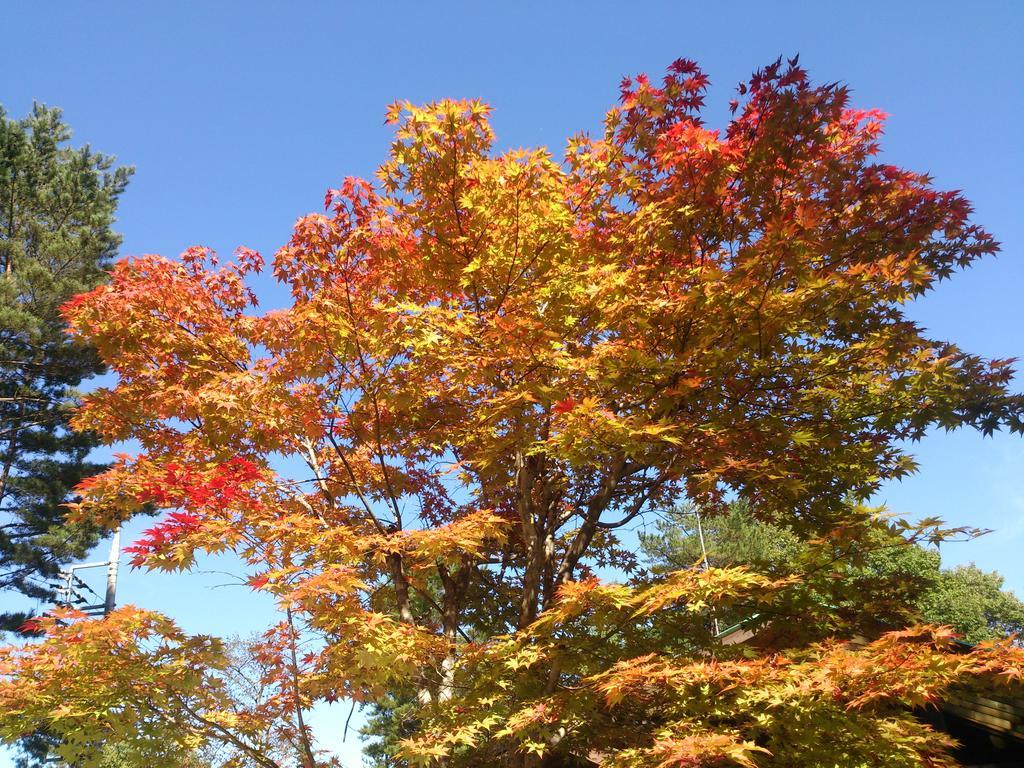 Runesu Karuizawa Kita-karuisawa Esterno foto